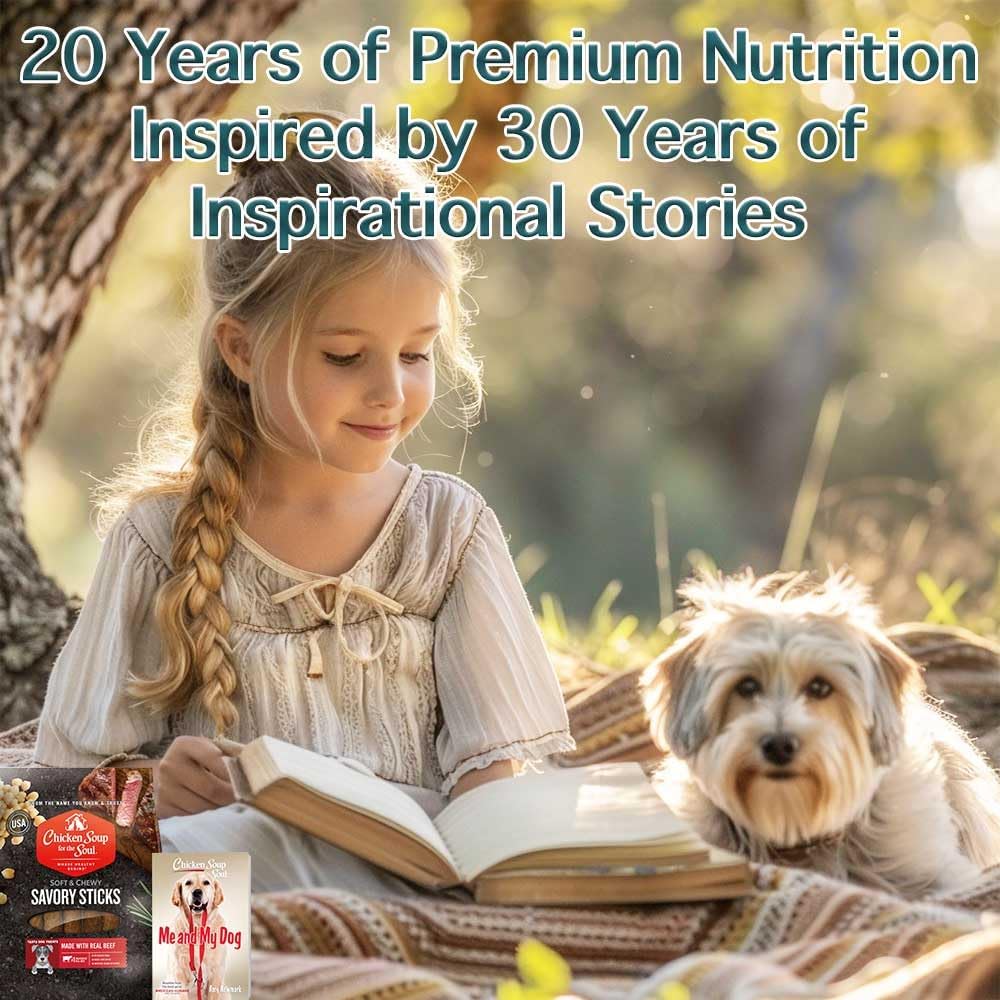 Chicken Soup for The Soul All Natural Premium Savory Sticks Soft & Chewy Dog Treats, Real Beef First Ingredient, No by-Products, Artificial Colors, Flavors or Preservatives, Beef, 32oz
