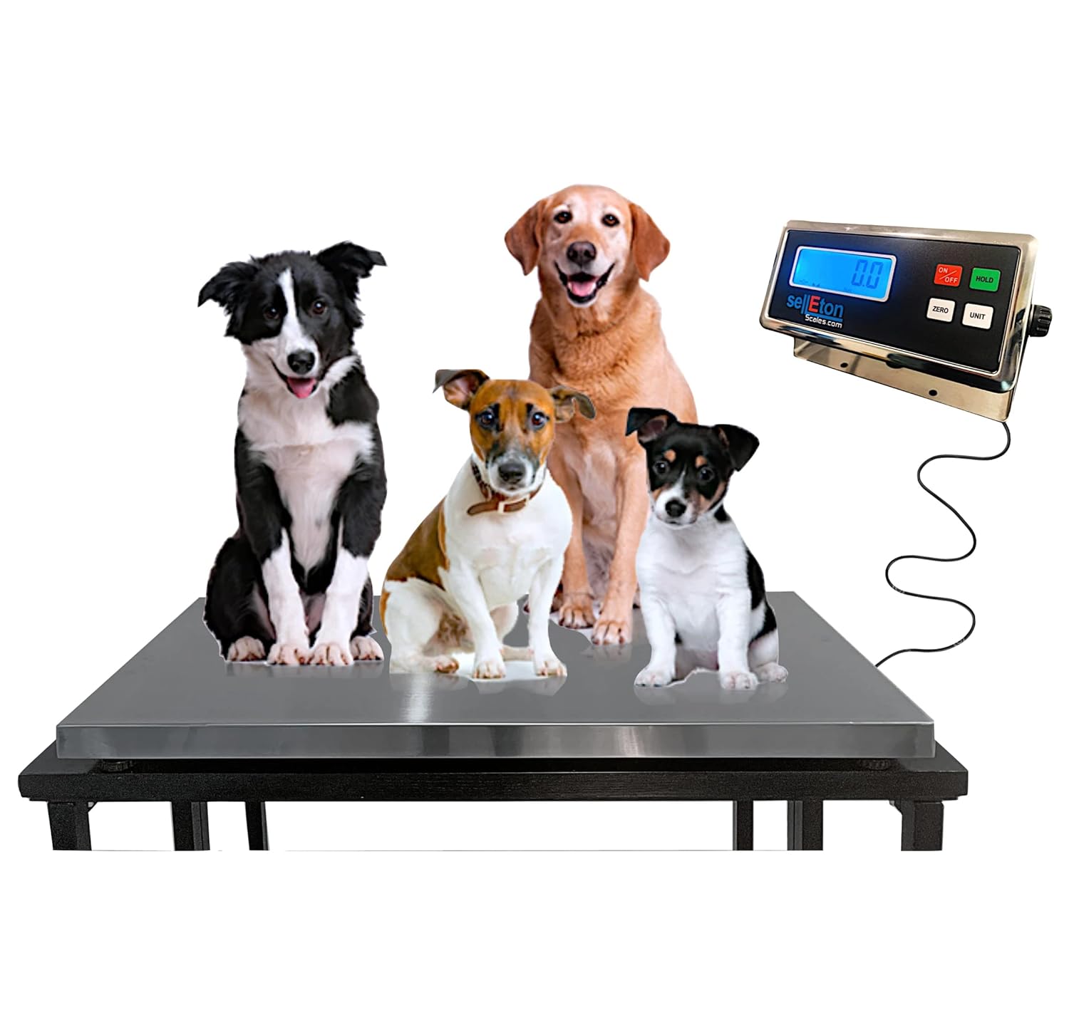 SellEton SL-922 Vet Scale Livestock Scale Hog Scale Goat Sheep Alpaca Pig Farm Scale | 43"(L) x 20"(W) x2(H) | 1000 lbs x 0.2 lb