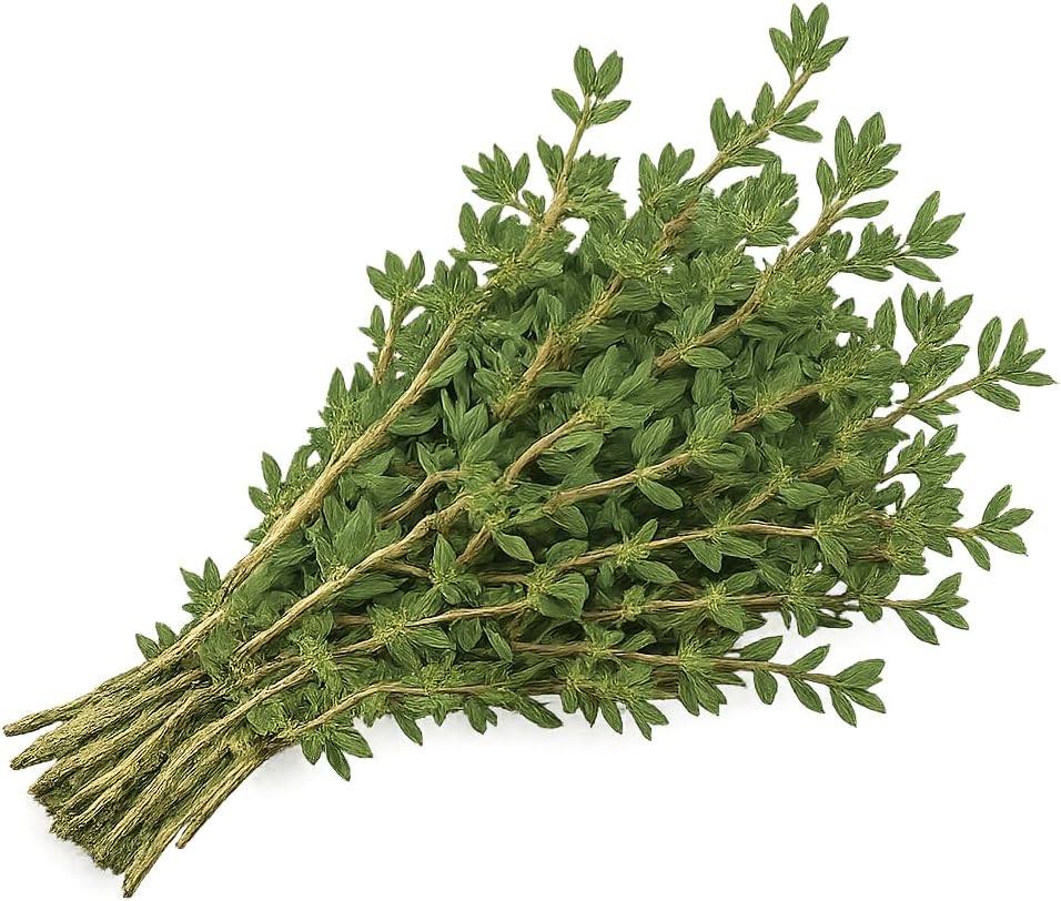 Herb Seedlings: Ready-to-Plant Seedlings, Starts, Plugs, Garden-Ready, Live Plants, Transplants, Pre-sprouted, for Soil & Hydroponic Gardens (6 seedlings)