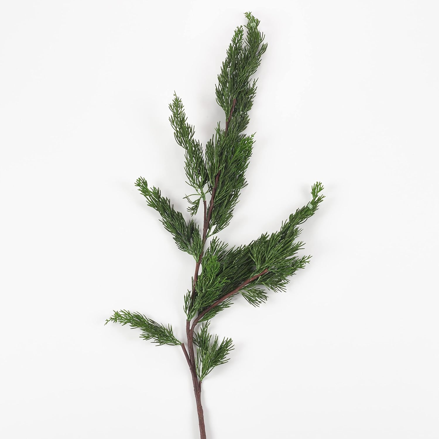 SARO LIFESTYLE Cedar Branch (Set of 6)