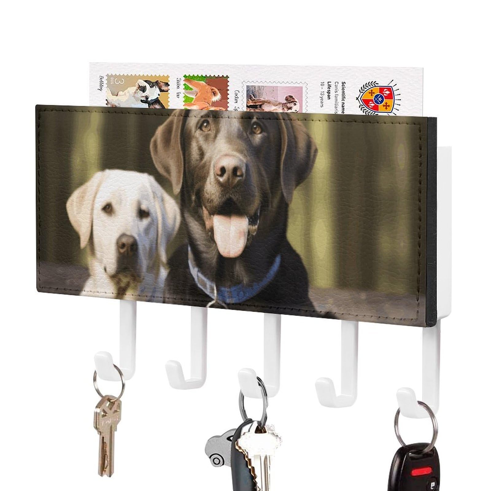 JTREHY Labrador Holder Wall-Mounted Key and Mail Holder,Key Rack with 5Keys Hooks, Easy to Install Mail Organizer for Entryway, Front Door, Hallway, Office