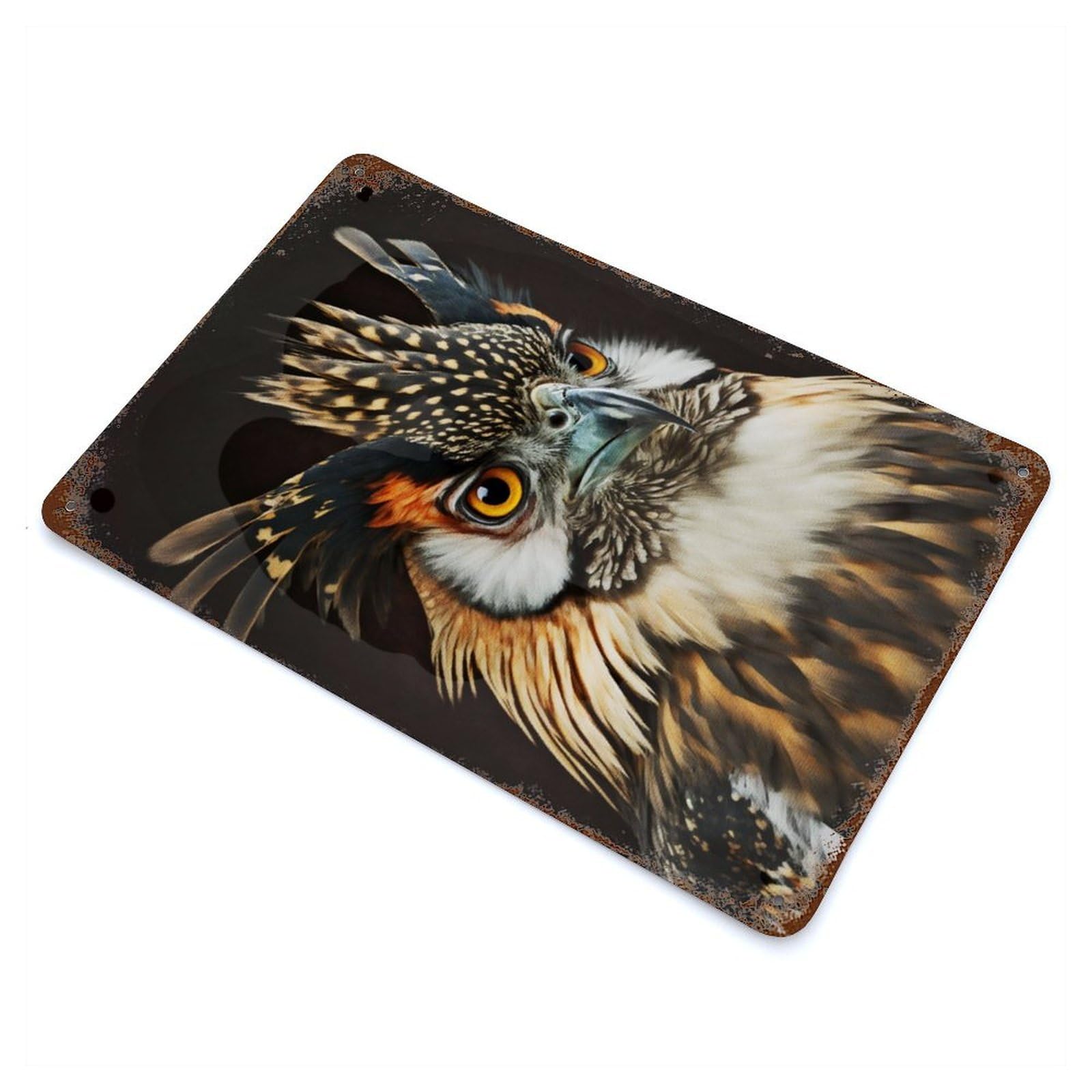 Decorative Tin Sign Portrait Birds 11.8"x7.9", Decorative Metal Wall Art for Garage, Bar And Workshop Decor