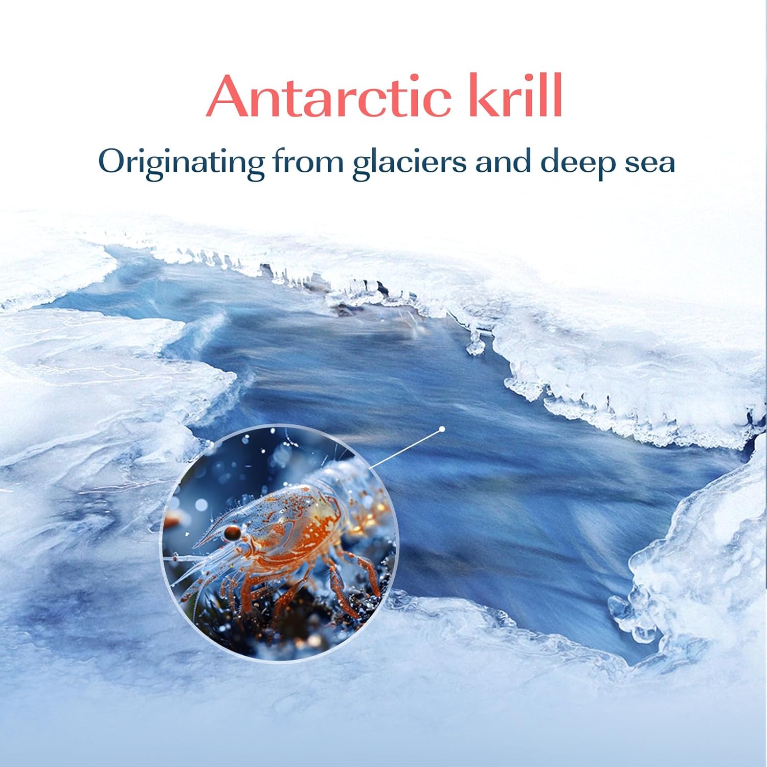 Antarctic Krill Oil 2000mg Capsules, Krill Oil Supplement 60pcs