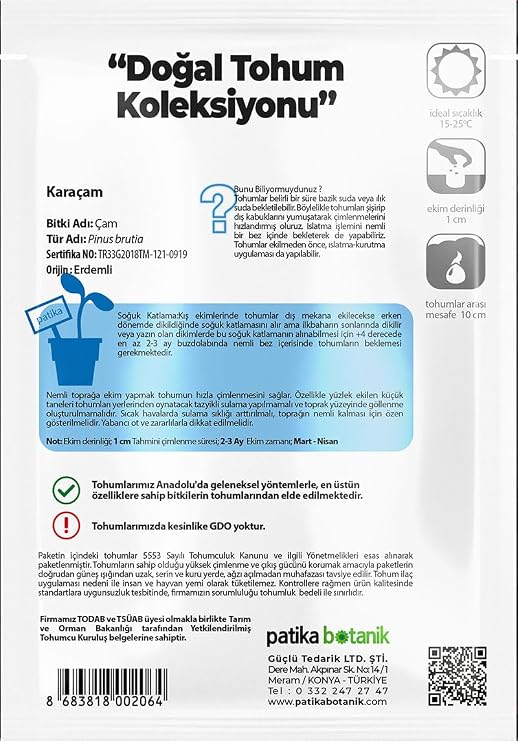 Karaçam Ağaç Tohumu