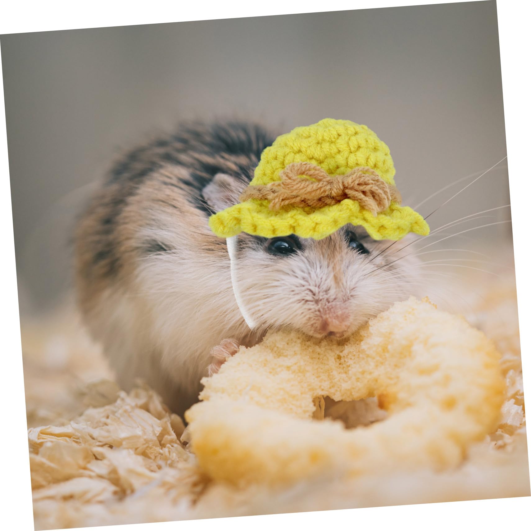 Amazon | Abaodam ミニニット帽 ハムスター帽子 小動物用帽子 ペット