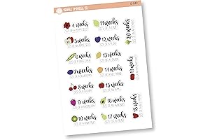 Pregnancy Belly Stickers | Track Your Pregnancy Week by Week