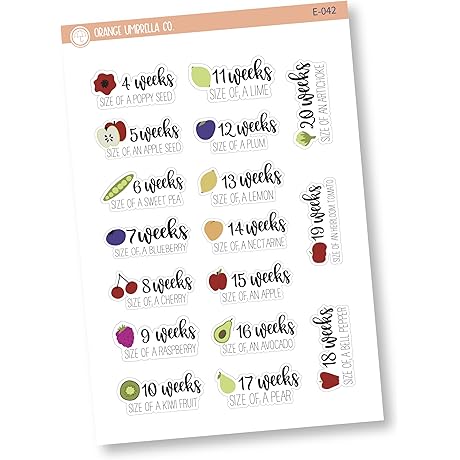 Pregnancy Belly Stickers | Track Your Pregnancy Week by Week