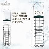 Ver la foto 8