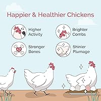 Vista 4 de Mile Four Grano de pollo para pollitos – Pollos de 0 a 8 semanas, 100% mineral natural de grano de pollo cuarcita, grano de aves de corral, ayuda