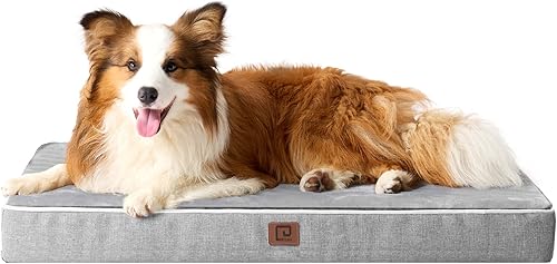 EHEYCIGA Cama ortopédica de espuma viscoelástica para perros de 41 x 27 pulgadas, cama impermeable para mascotas para perros extra grandes, tapete