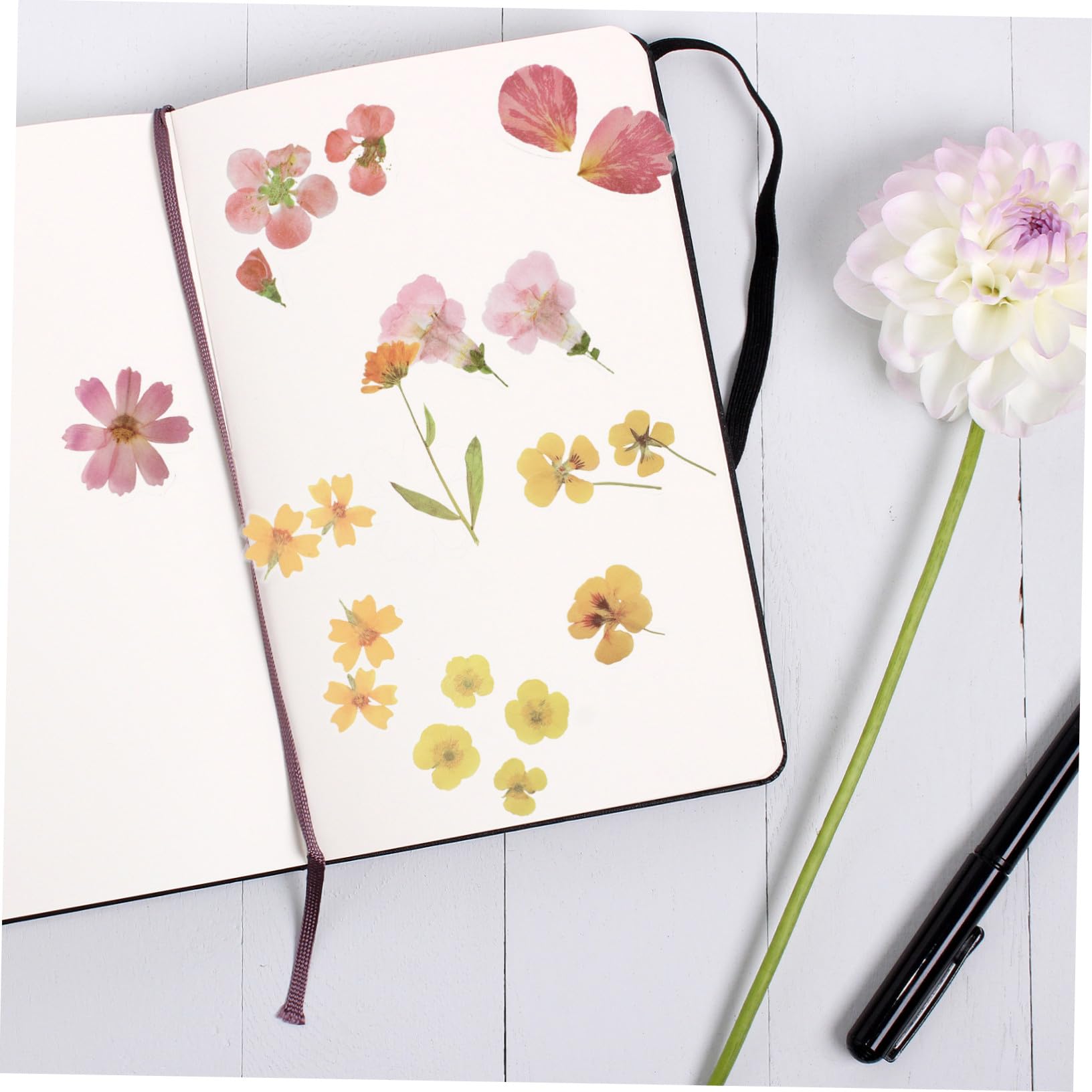 DOITOOL 16 Ensembles Autocollants Flore Diy Ensemble Stickers Pratiques pour Journal Intime et Artisanat Décalcomanies Colorées pour Carnets Albums Photos et Cartes