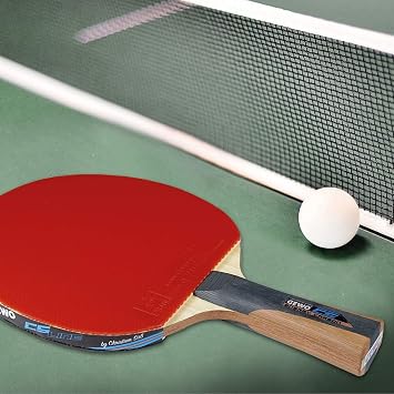 GEWOTable Tennis bat