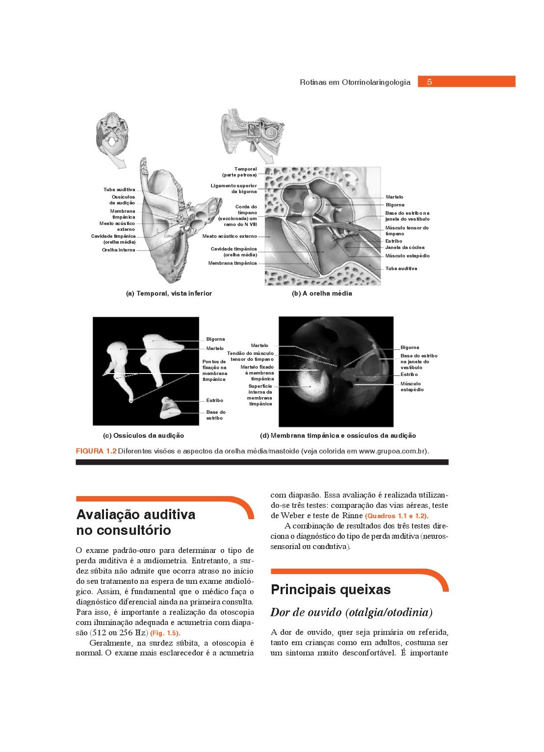 Rotinas em Otorrinolaringologia (Em Portuguese do Brasil)