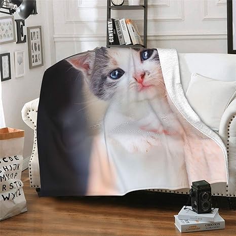 値下げ 可愛い 猫ちゃん毛布ブランケット 防寒対策 ひざ掛け 夏かけ布団170x235cm 速達メール便 Www Grouproma Com