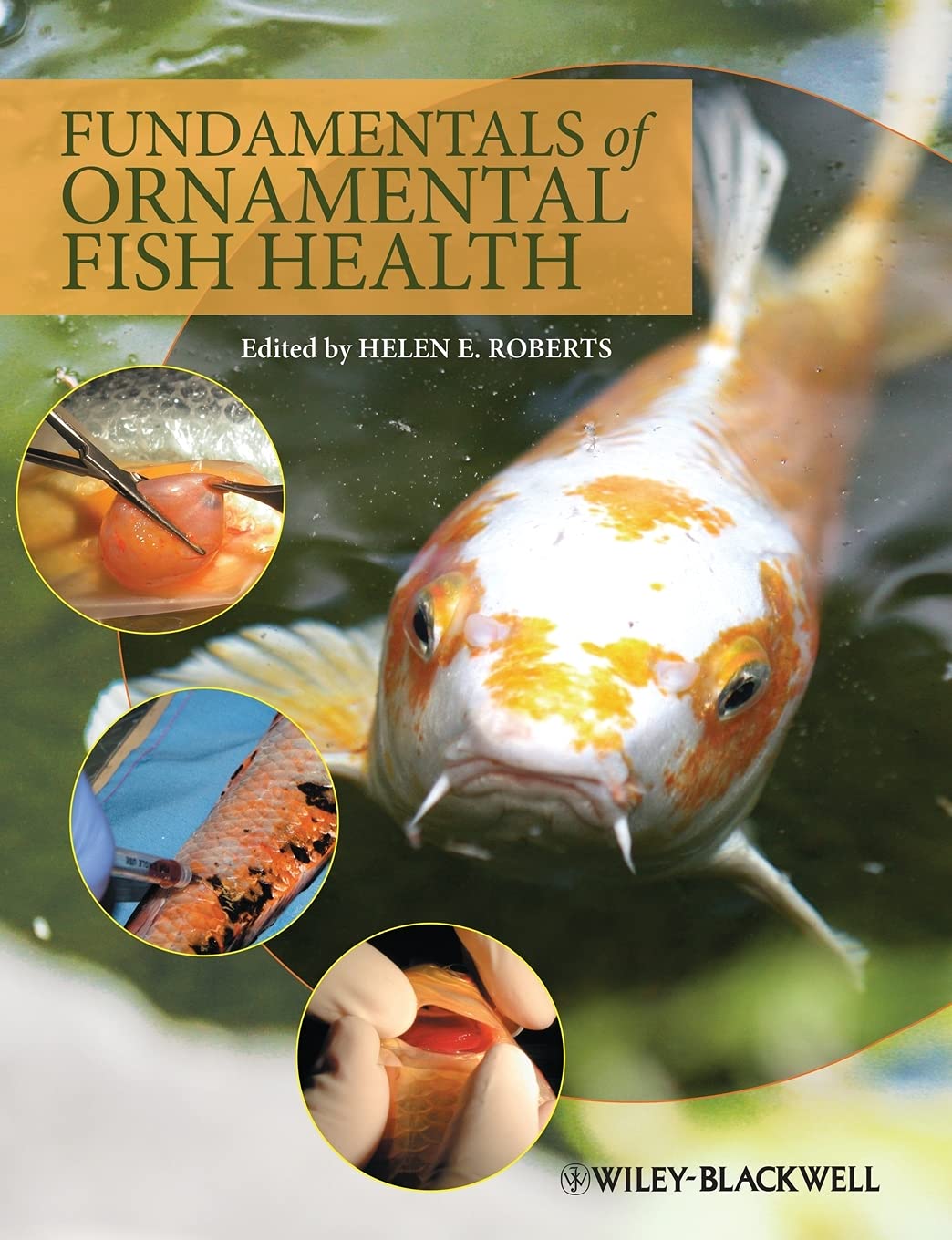 Fundamentals of Ornamental Fish Health