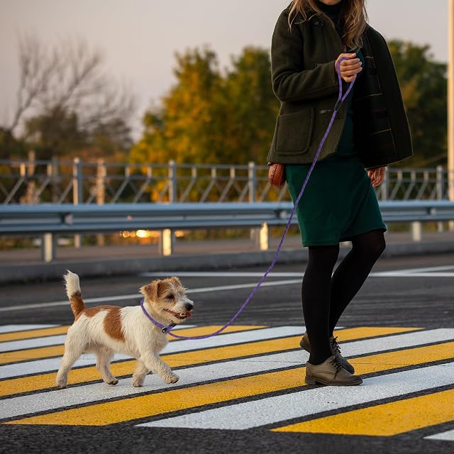 Foto 6 de 6 de Loutep Correa antideslizante para perros, cuerda morada de 1,8 m con costuras reflectantes