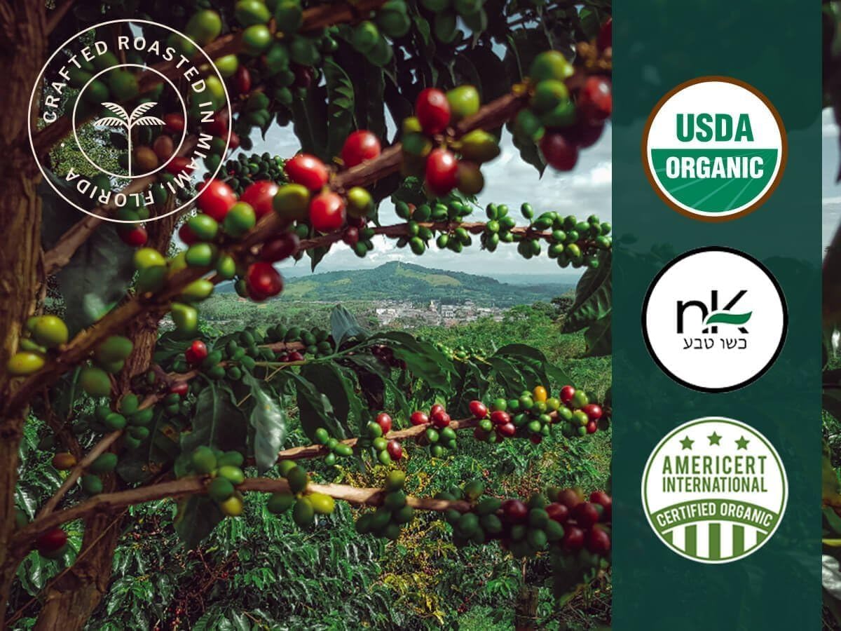 Artizan Coffee USDA Organic Espresso Coffee Capsules For Nespresso Original | Notte Forte | 120 Compatible Compostable Pods