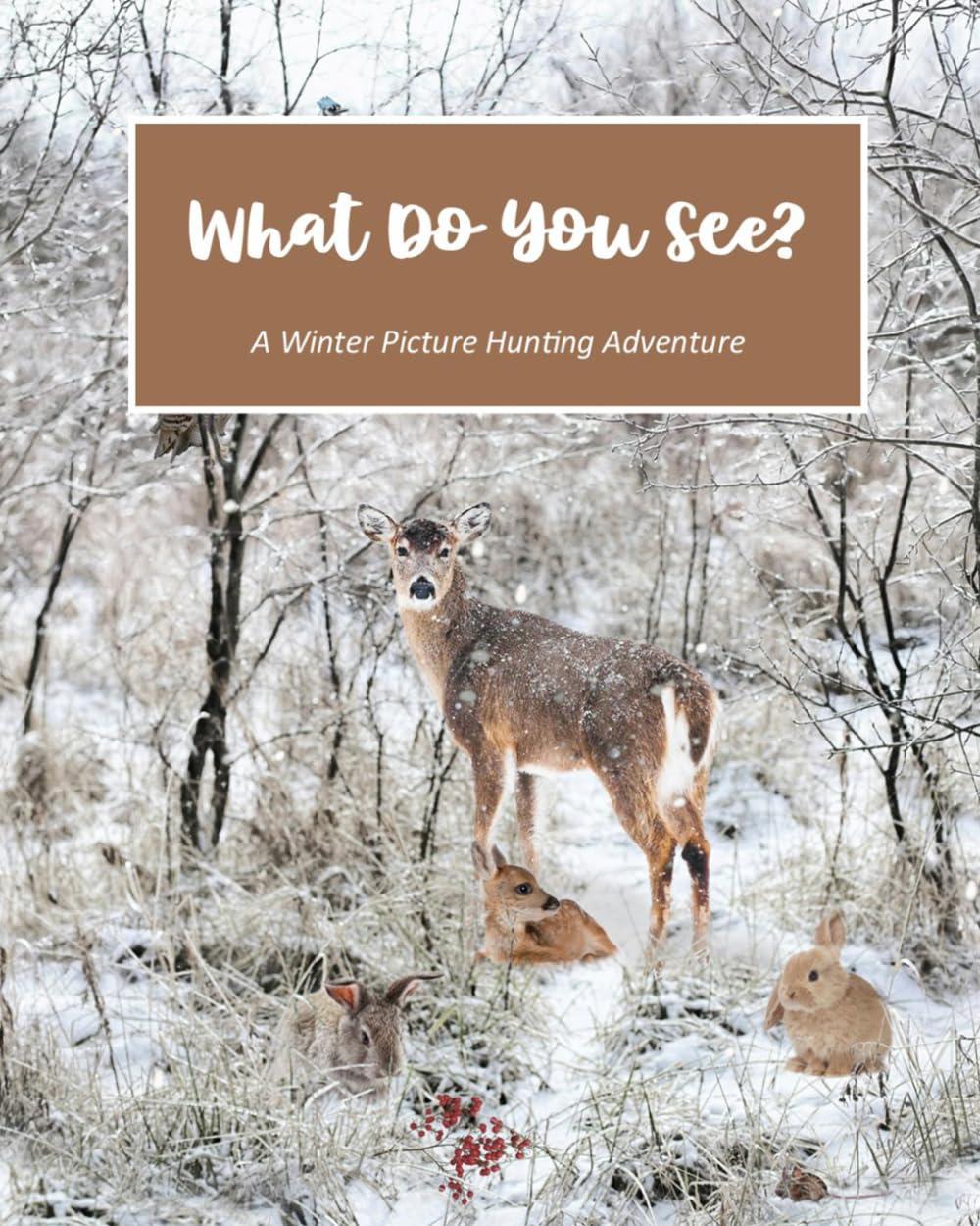 What Do You See?: A Winter Picture Hunting Adventure