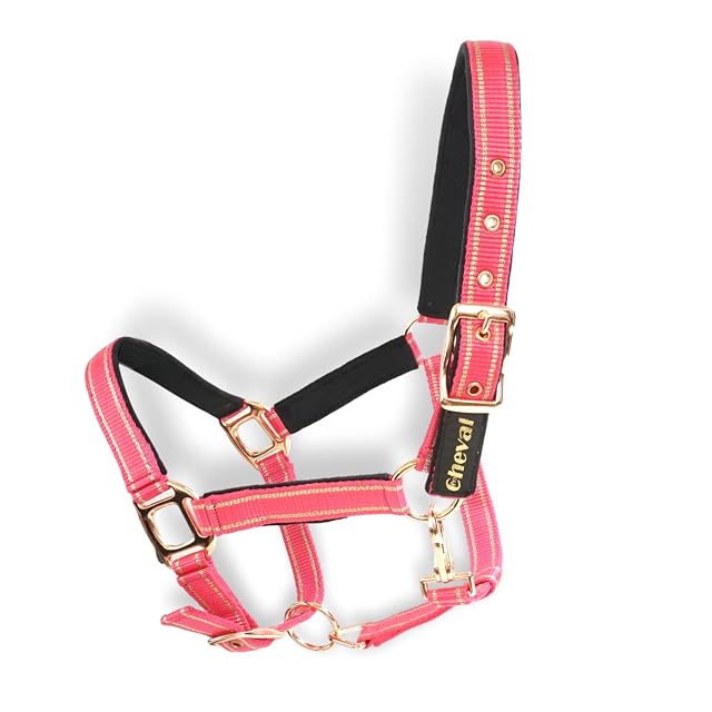 Foto 7 de 7 de Cabestro para caballos con brillo en rosegold, cabestro para caballos en negro y rosa