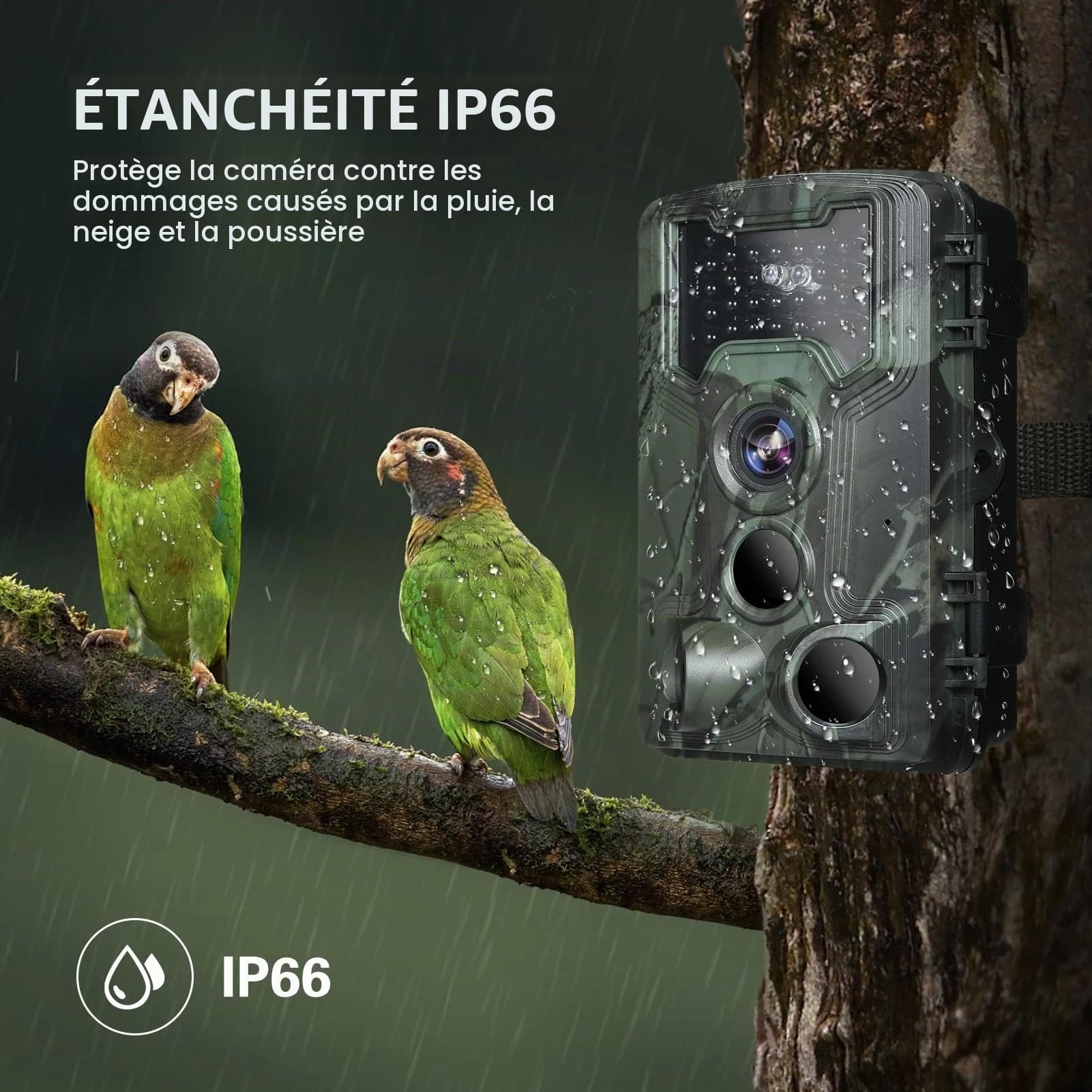 EMEBAY Caméra de Chasse Surveillance 36MP 1080P IP66 Étanche Écran LCD
