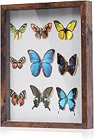 Vista 41 de Muzilife Marco de Fotos Shadow Box de 11x14 pulgadas con Tablero de Lino - Madera Profunda y Vidrio Templado, Estuche Rústico de Exhibición Listo