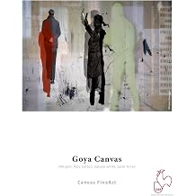 Hahnemuhle Digital Fine Art Goya Canvas Paper 340 g/m2 1118 mm x 12 m Natural White