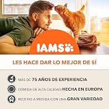 Ver la foto 7