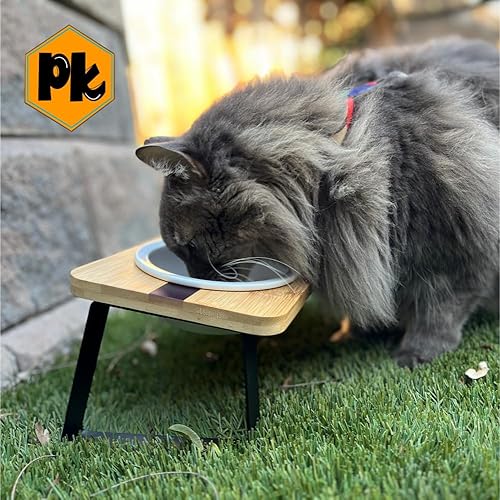 Vista 19 de Soporte elevado para comida y agua para gatos, estación de alimentación elevada antivómitos con soporte inclinado, cuencos redondos de cerámica