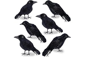 DR.DUDU Halloween Crow Decorations 6 Pack