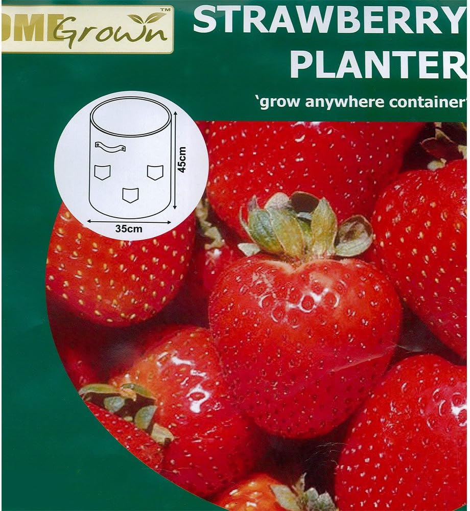 Green Jem Strawberry Planter Amazon.ca Patio, Lawn & Garden