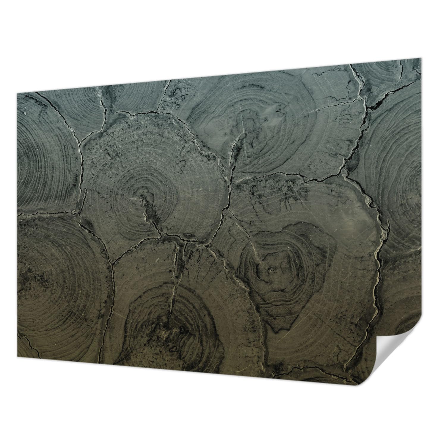 Revêtement mural autocollant 208x146 cm Tulup avec motif anneaux en bois pour salon