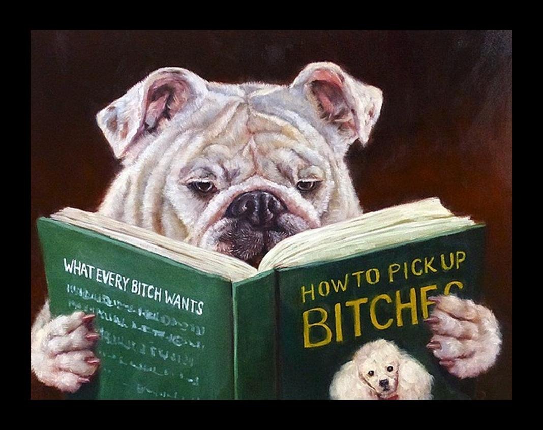 Framed Casonava - Dog Reading How to Pickup Bitches by Lucia Heffernan 10x8 Bulldog Pug Art Print Poster Humor