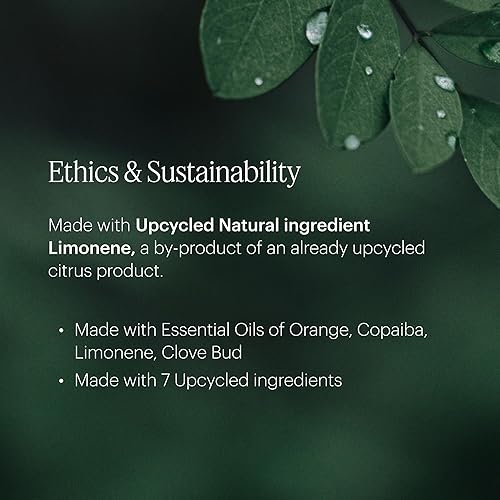 Miniatura 4 de Aera Mini Rose Home Fragancia Recambio  Notas de rosa del Himalaya, tilo y peonía  Funciona con mini difusor Aera, tamaño de cápsula de aroma