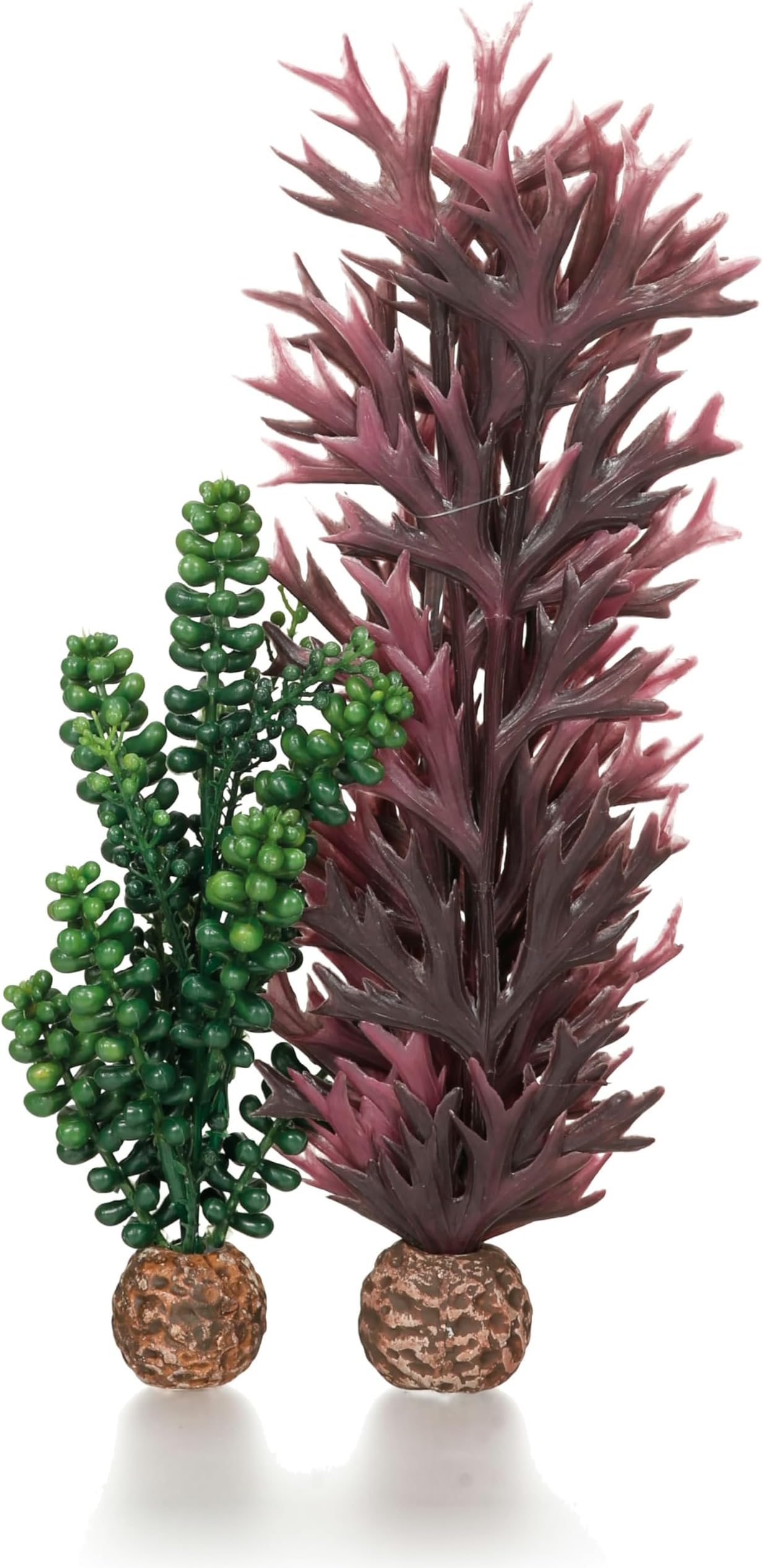 biOrb Seapearls & Kelp, Medium