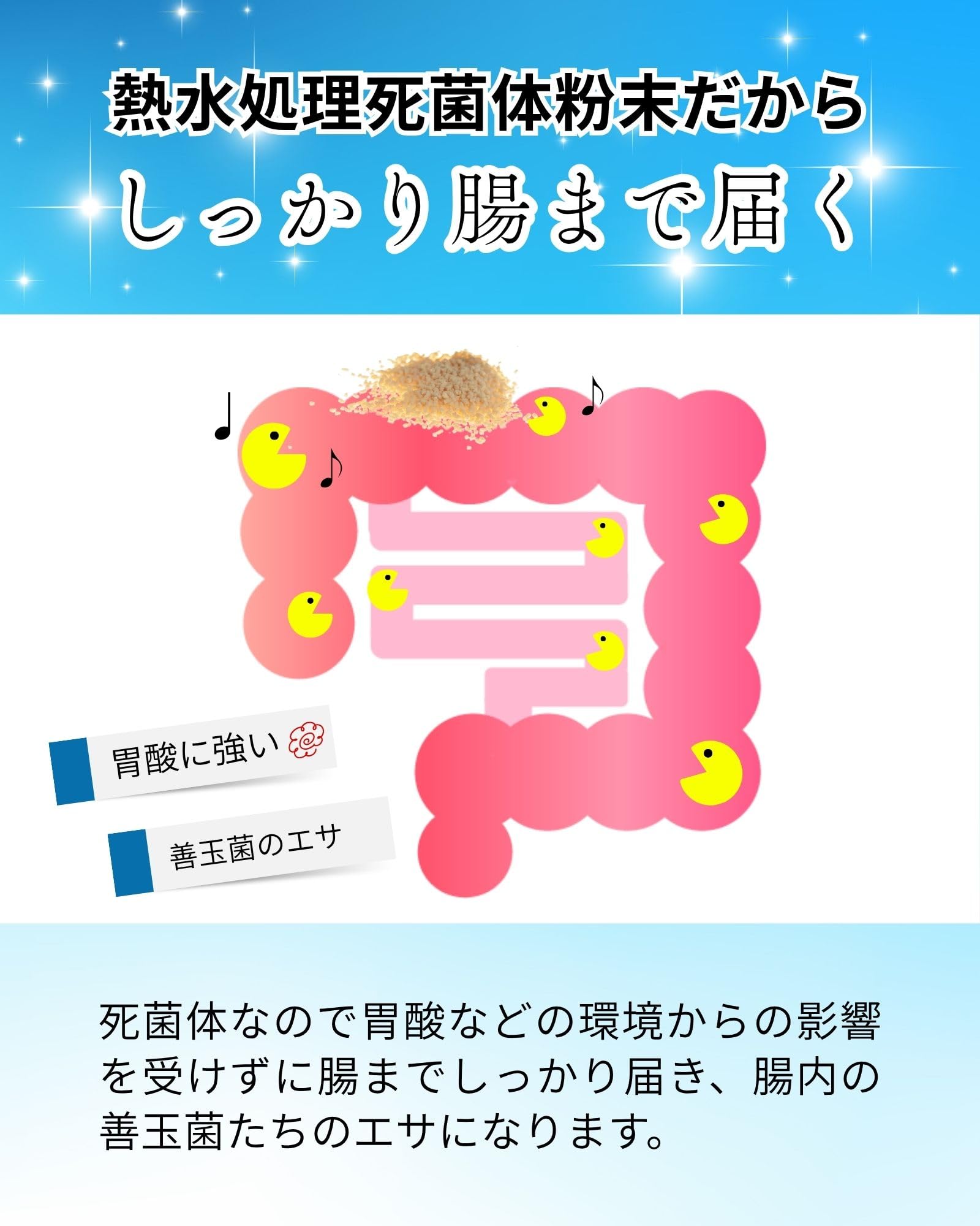 Amazon | スーパービオータプレミアム 腸内細菌培養液乾燥末 乳酸菌 1