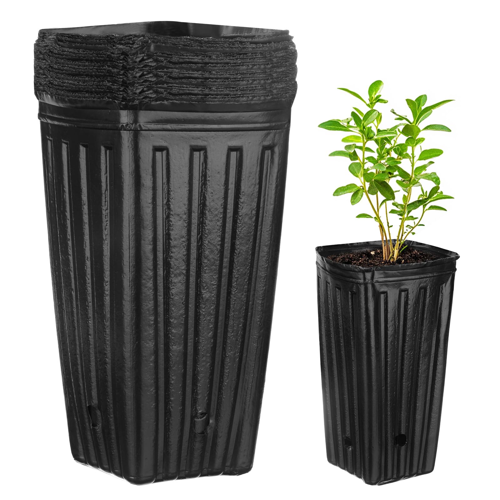 M METERXITY 50-Pack Plant Nursery Pots