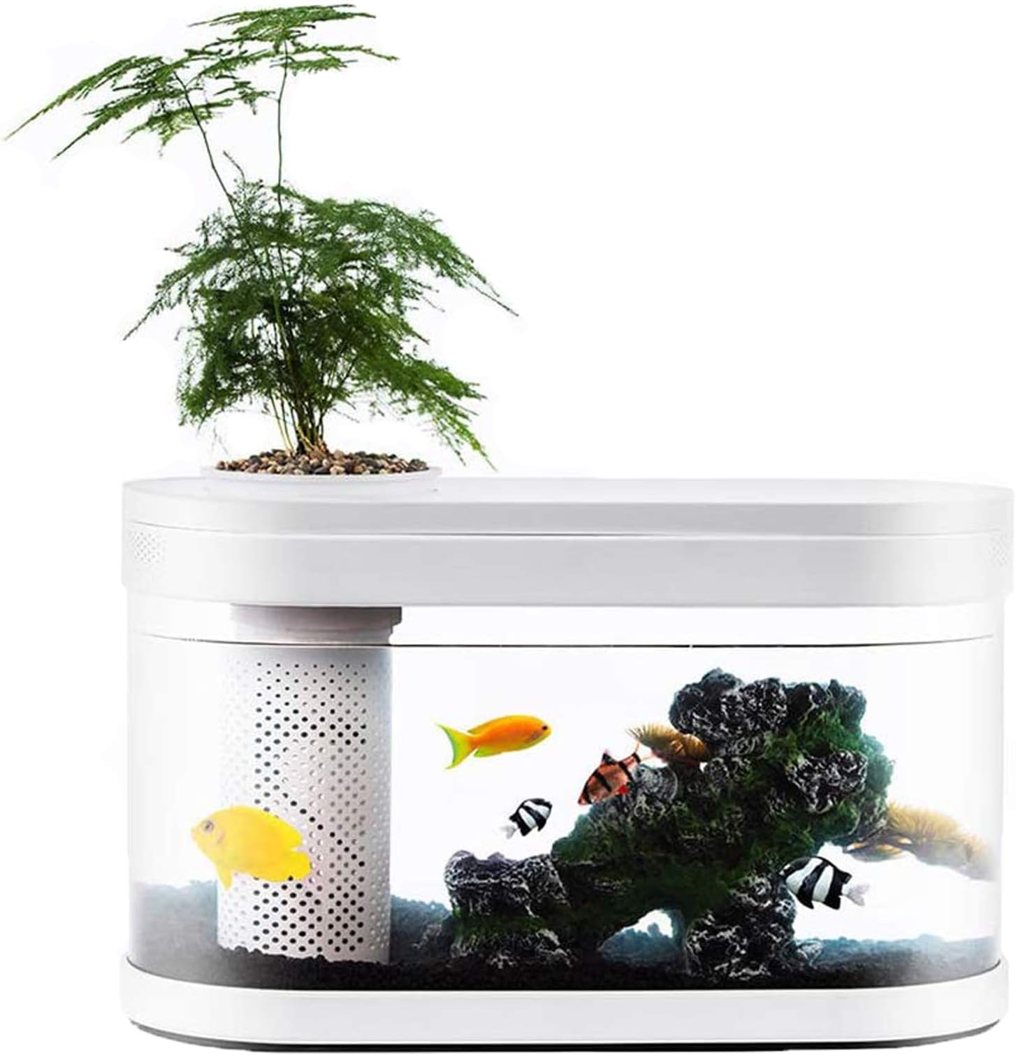 Zenph Aquarium Fish Tank 8L, Automatic 4 Levels Filtering System, One-click Water Change, 5W Quiet Power Water Pump, 5 Color LED Light, 360°Wide View for Office & Home, White