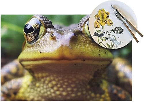 Miniatura 5 de 6 PCS PVC Placemats Set Place Mats Frog Looking into Camera Non-Slip Weave Place Mats 12" x 18" Farmhouse Table Mat Set for Family Dinners Wedding