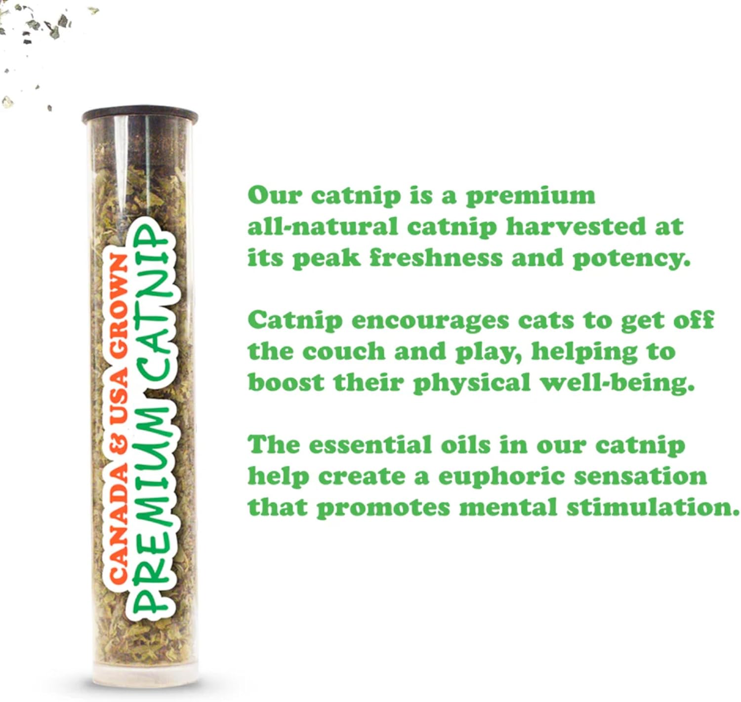 Meowijuana Get Spooked Bundle | Pumpkin Spice Latte Refillable Toy and Harvest Moon Blend | Promotes Play and Cat Health | Includes North American Organic Catnip