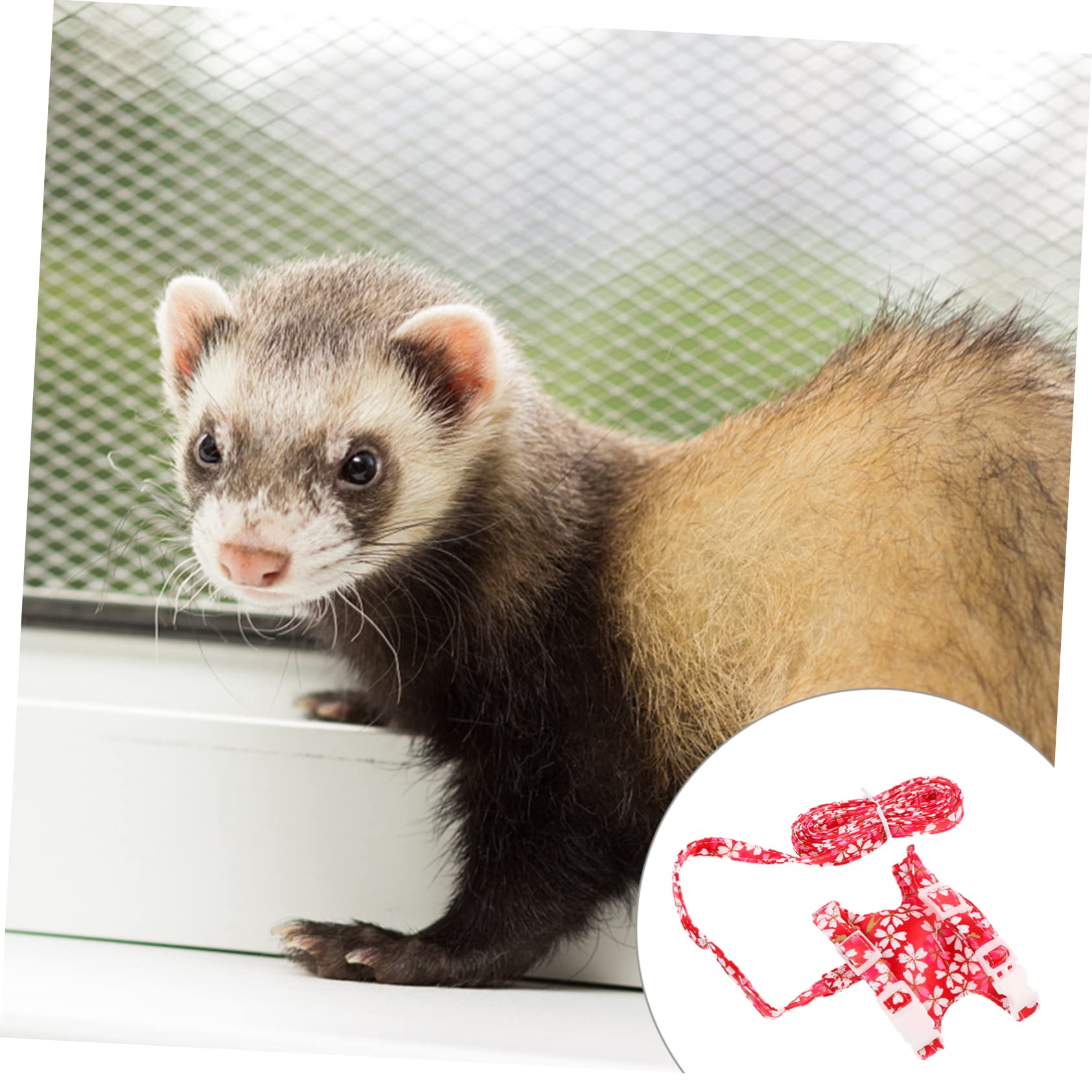 Yardwe 2sätze Frettchen Geschirr Mit Atmungsaktives Vest-Design Für Kleine Haustiere Gleichmäßige Druckverteilung Schützend Für Empfindliche Halsregion Farbe Zufällig