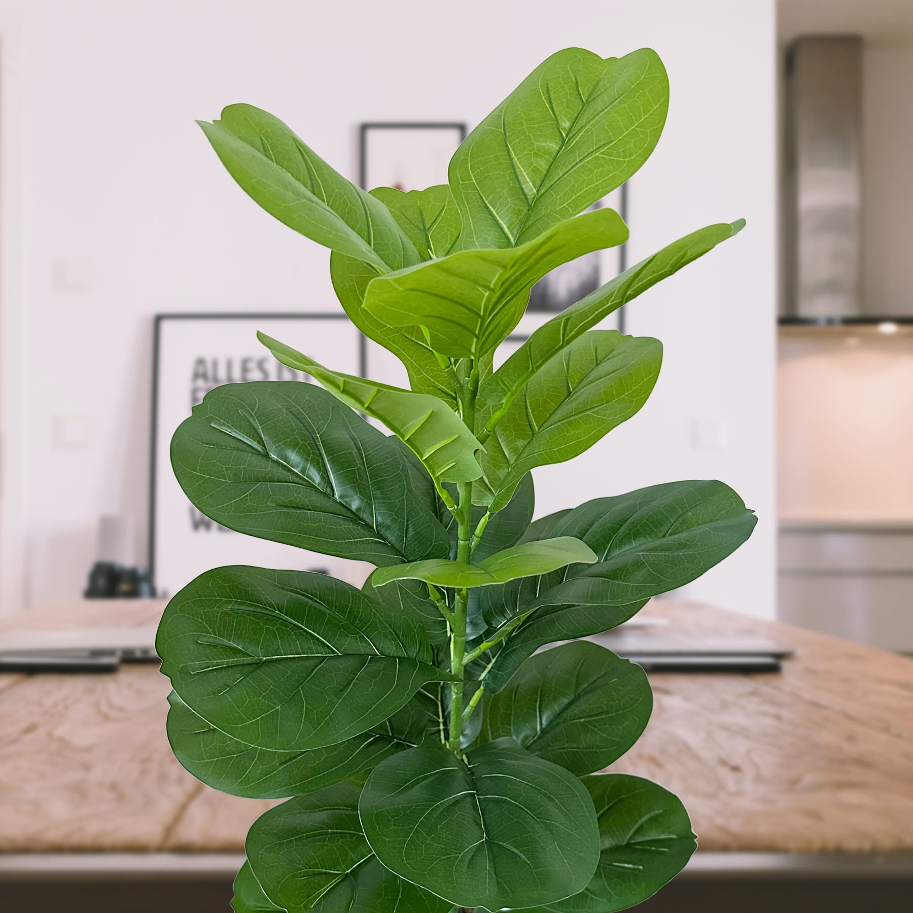 Amazon.de: SAJANDAS 2er Set Kunstpflanze Geigenfeige mit Tpfen, 80 cm  Knstliche Pflanzen Ficus Lyrata mit Grne Bltter und Stielen, Faux Fiddle  Leaf Pflanzen fr Zuhause Bro Deko