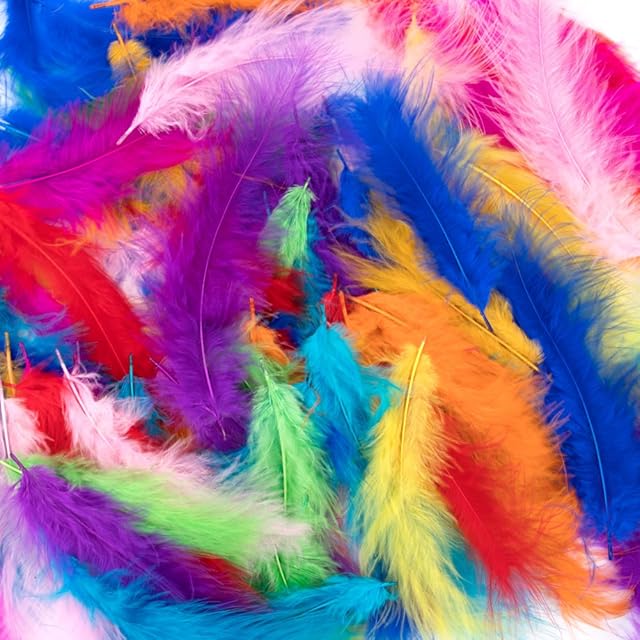 Colorful Feathers,300 Pieces Feather for Crafts Striking Feathers Natural Craft Feathers Goose/Turkey Feathers for DIY Dream Catchers Wedding Baby Shower Birthday Party Cosplay Decorations (10 Colors)