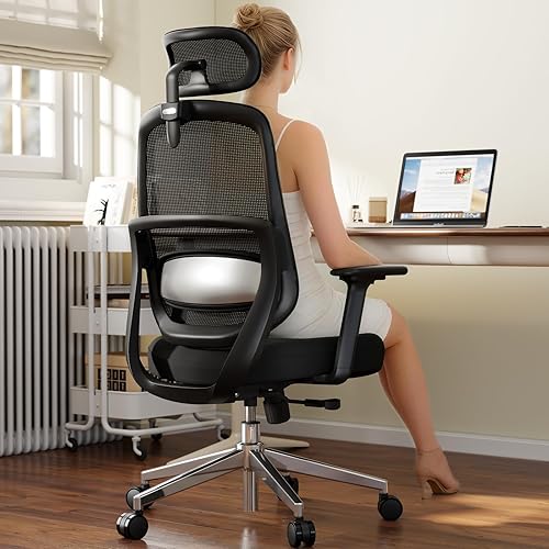 Ergonomic Office Chair, Home Office Desk Chairs, 3D Lumbar Support
