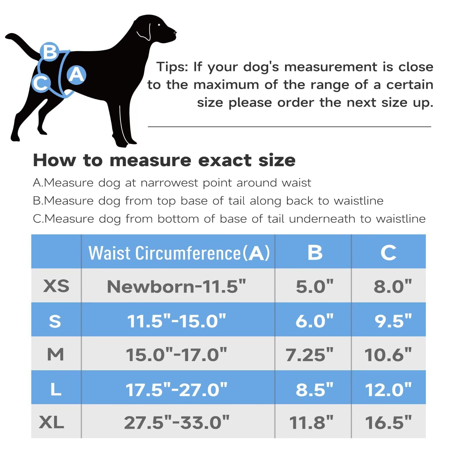 Paw Legend Pañales lavables y reutilizables para perras, pañales para perras de calor, pañales para perras (3 unidades, XL)