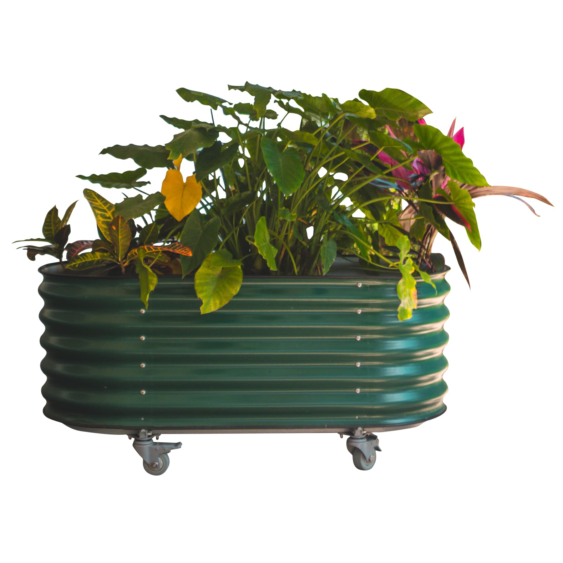 Vego garden 2 x 4 ft Self Watering Rolling Garden Bed-British Green