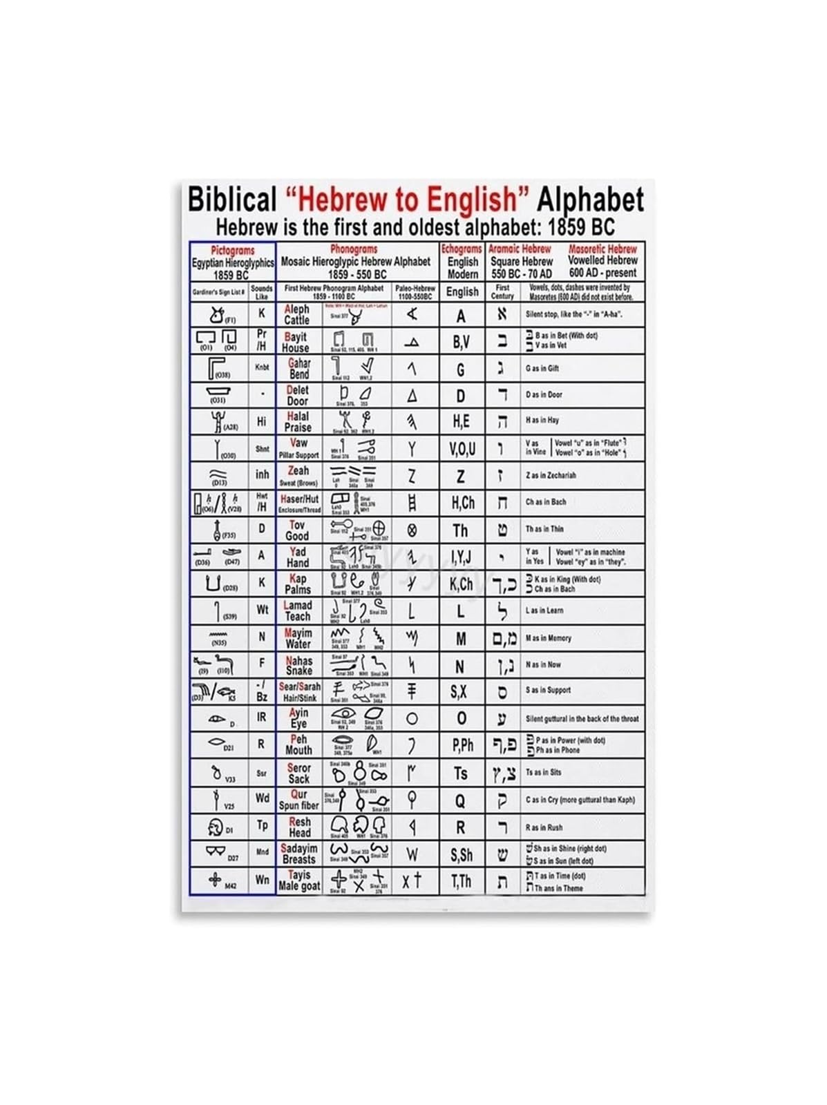 REIUAFWYGV Hebrew Language Alphabet Chart Poster Ancient Paleo and Modern Scripts Israelite Study Aid Wall-Art for Classroom