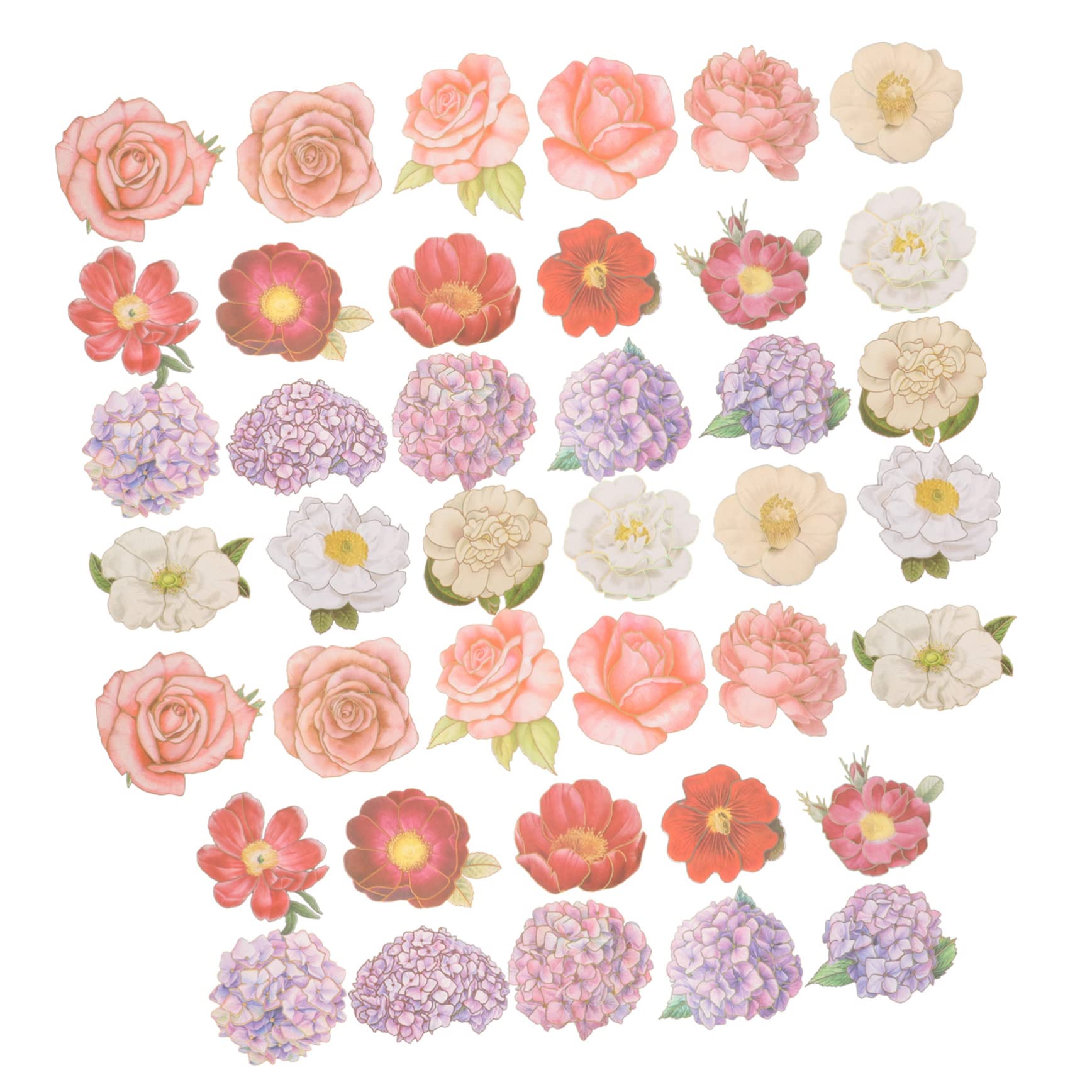 Angoily 5 Set Adesivi Floreali Etichetta Scrapbooking Diario Floreale Fiori Estetico Adulto Journaling Simpatici Adesivi Decalcomanie Per Album Adesivi Decorativi Plastica 40 Fogli*5