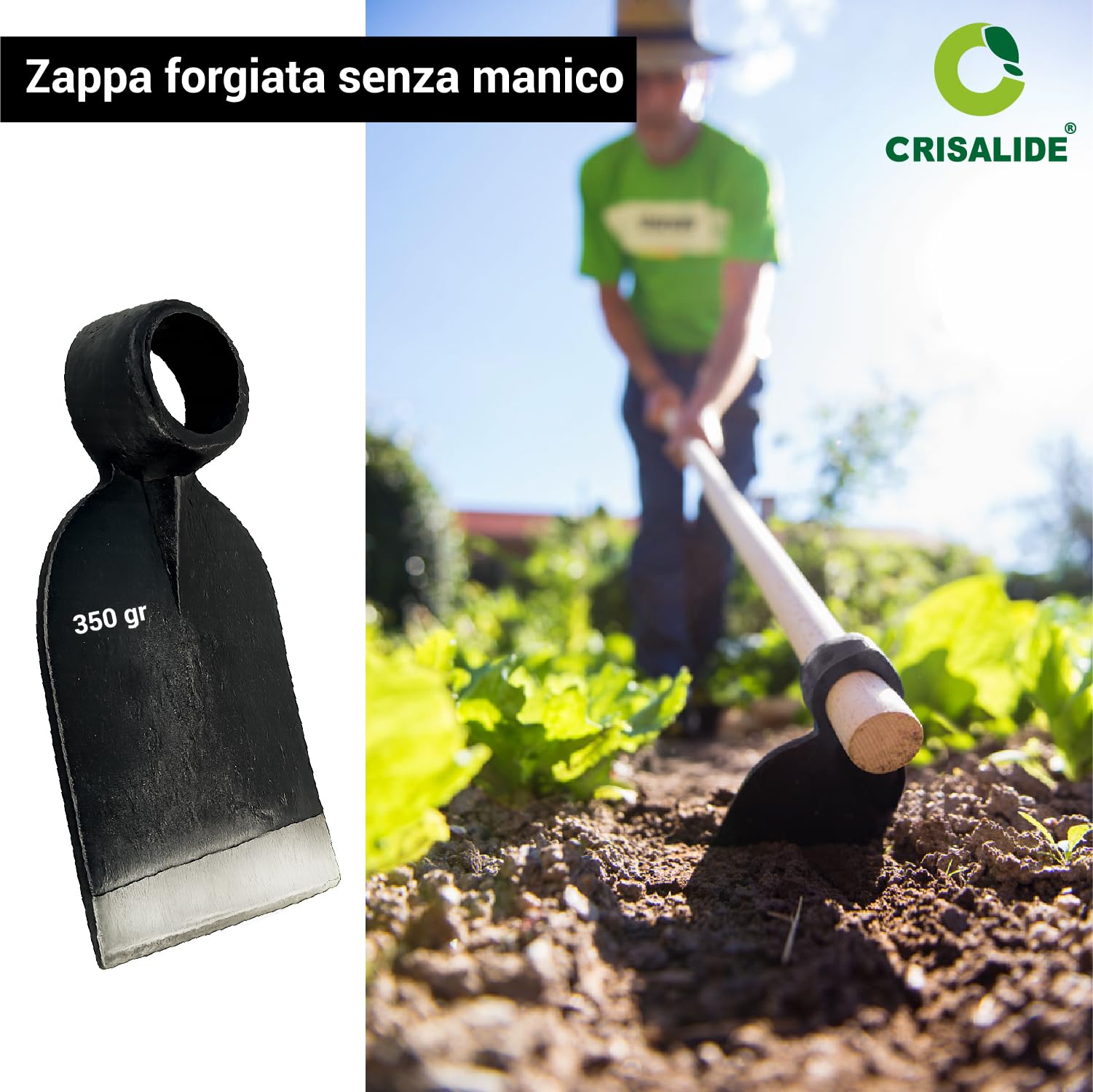 CRISALIDE Azada forjada sin mango 350 g – Azada de huerto y jardinería de acero, orificio Ø 3 cm, ancho 8 cm, ideal para desmalezar suelo y deshierbe