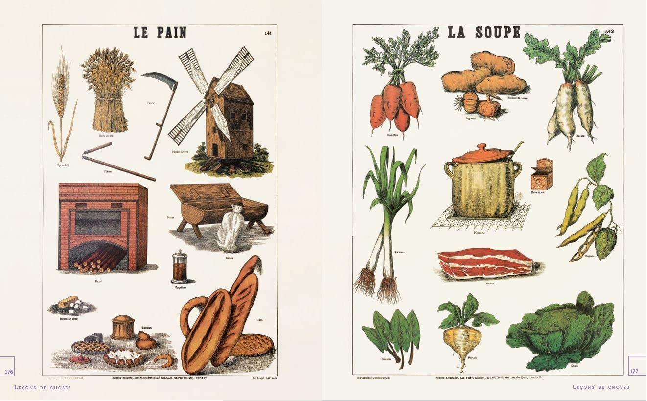 Leçons de choses & autres curiosités naturelles