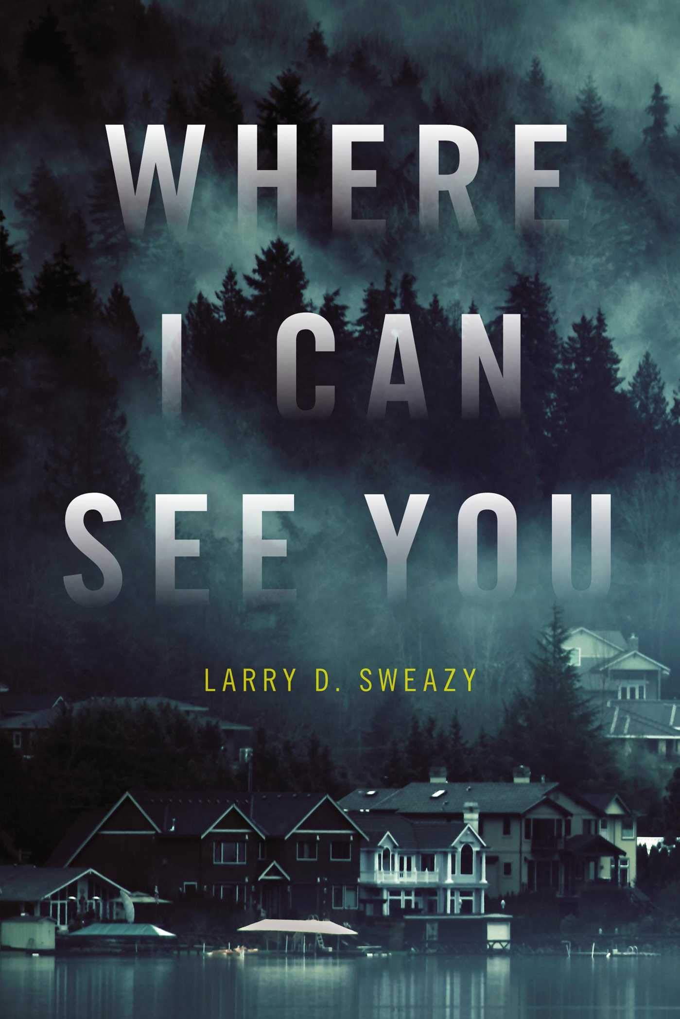 Buy Where I Can See You — BookShops.in